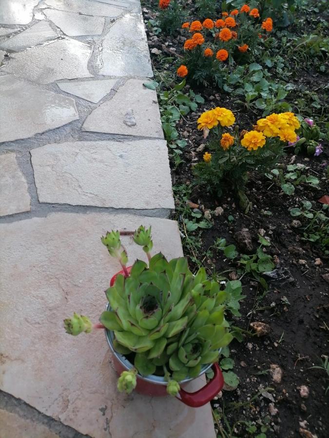 סטינג'ה Apartmani 15 מראה חיצוני תמונה
